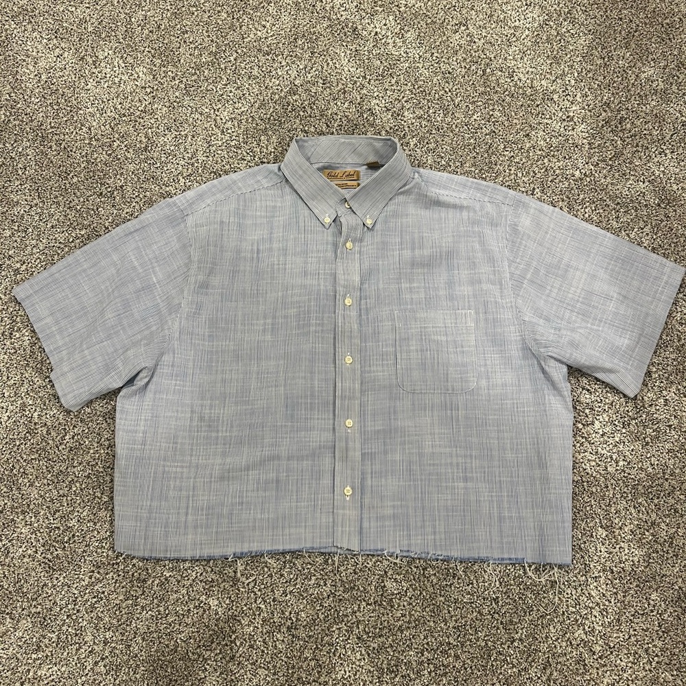 blue striped button up